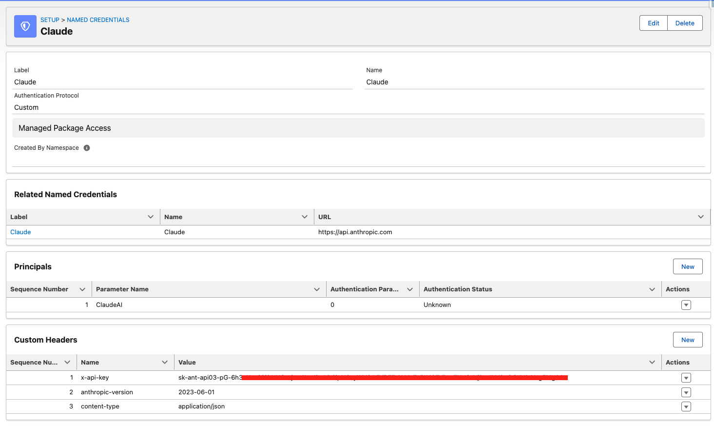 Claude External Credentials configuration in Salesforce