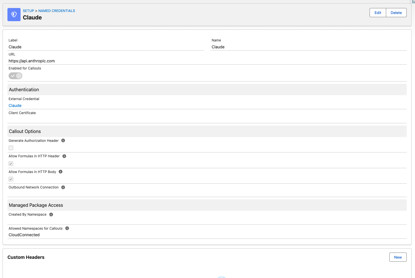 Claude Named Credentials configuration in Salesforce