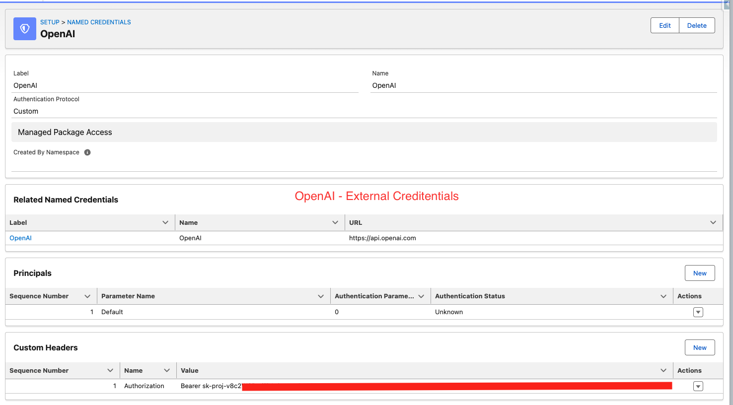 OpenAI External Credentials configuration in Salesforce