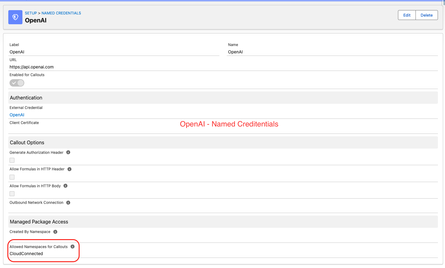 OpenAI Named Credentials configuration in Salesforce